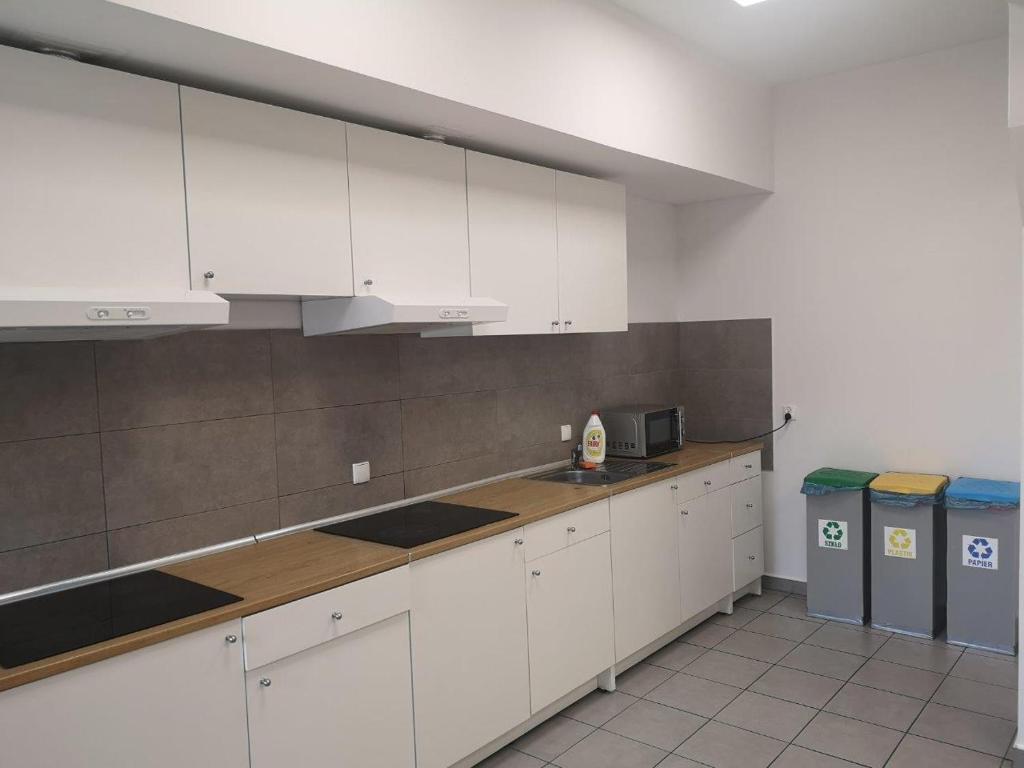 Kuchyň nebo kuchyňský kout v ubytování Hostel Anilux