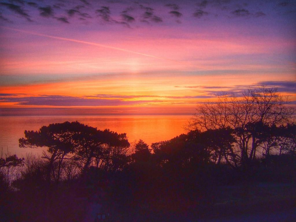 een zonsondergang boven het water met bomen op de voorgrond bij Mansion House in Scarborough