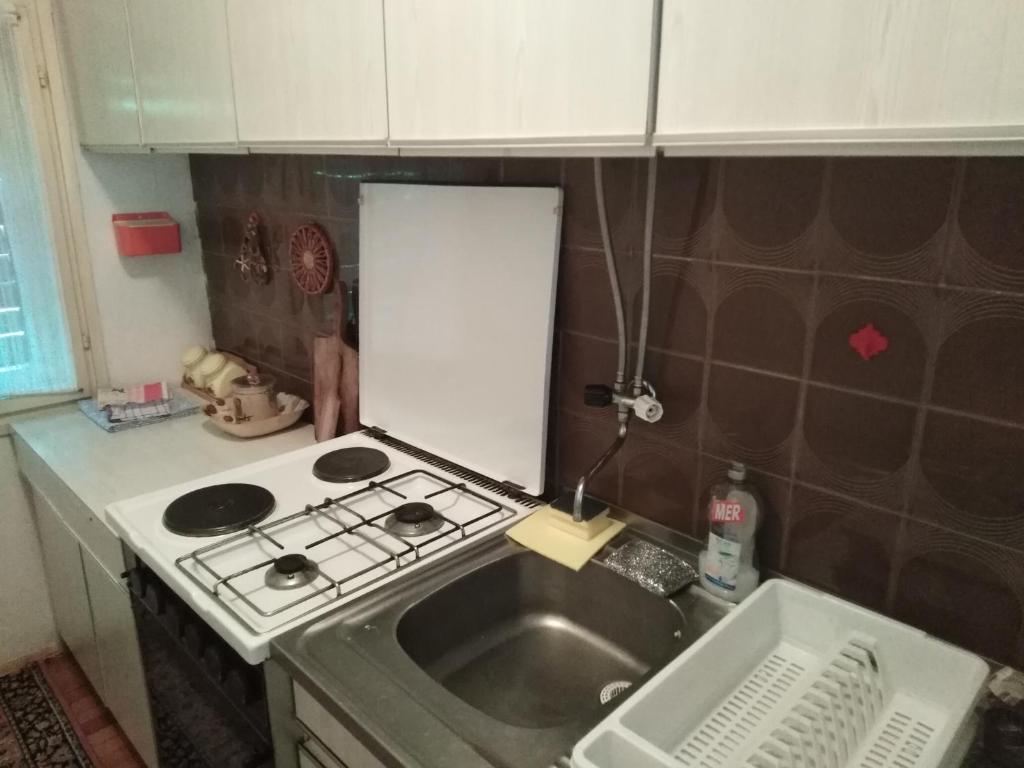 Η κουζίνα ή μικρή κουζίνα στο Planinska kuća Vladanka - planina Goč - banjska strana - preko puta ski staze