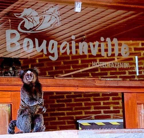  Bougainville Hotel Fazenda