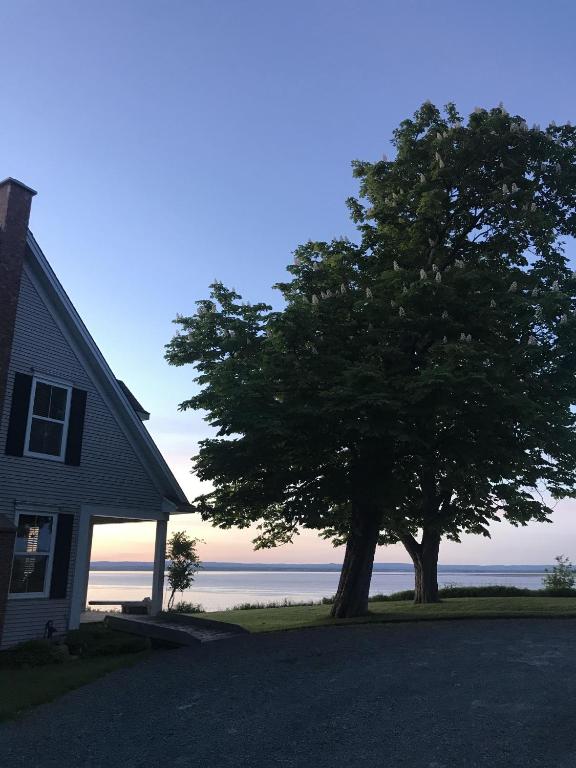 una casa e un albero vicino all'oceano di Cresthaven By the Sea a South Maitland