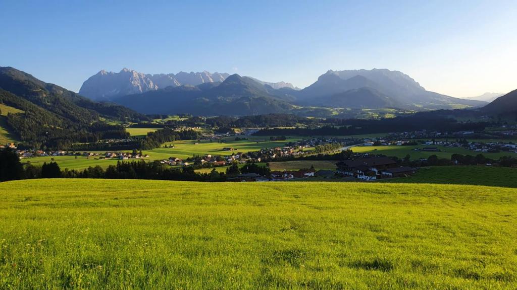 een groen grasveld met bergen op de achtergrond bij Frankenhof in Kössen