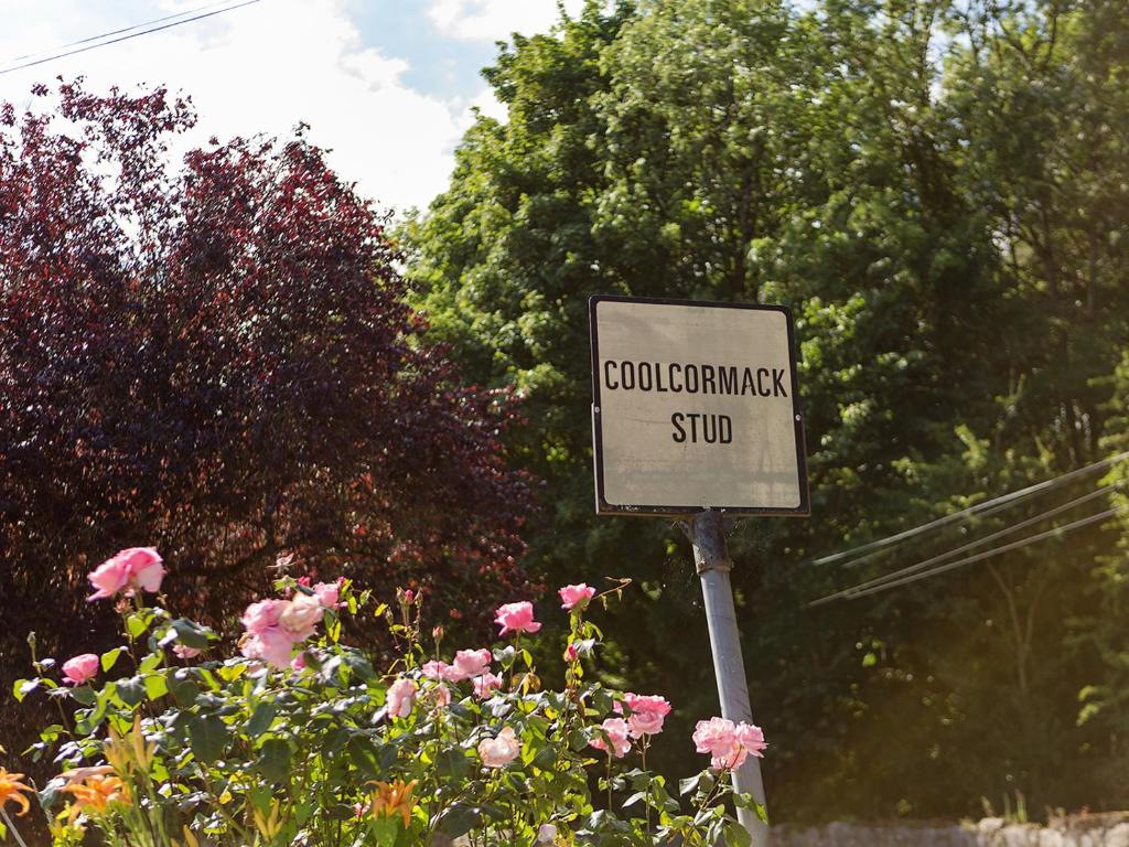 een bord in een tuin met roze rozen bij Coolcormack Stud B&B in Waterford