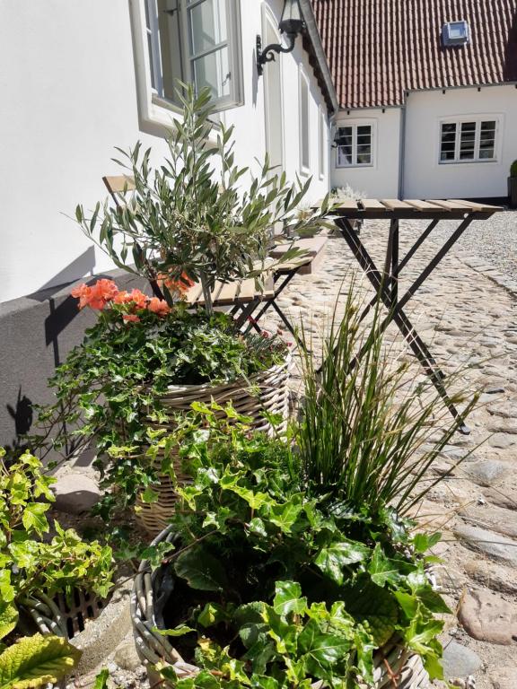 Zahrada ubytování Apartment in Danmark- Agernaesgaard Otterup