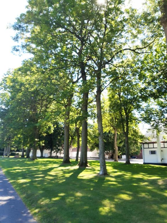 Zahrada ubytování Apartment in Danmark- Agernaesgaard Otterup