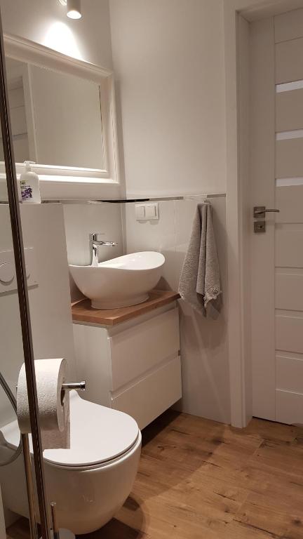 Kúpeľňa v ubytovaní Apartament Zamkowy