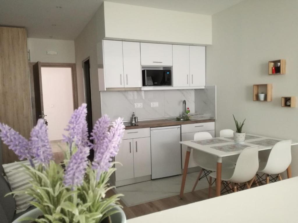 Kuchyň nebo kuchyňský kout v ubytování Lakones Deluxe Suites A