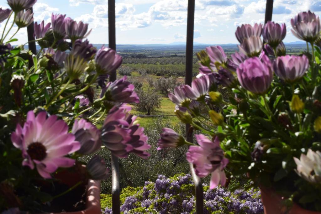 Un mazzo di fiori rosa in un giardino di Terme e relax nella campagna viterbese a Viterbo