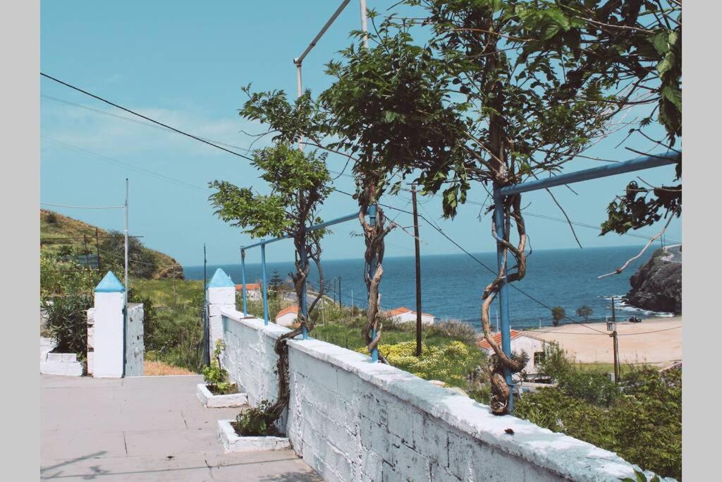 a retaining wall with a view of the ocean at Iliana's courtyard in Evdilos