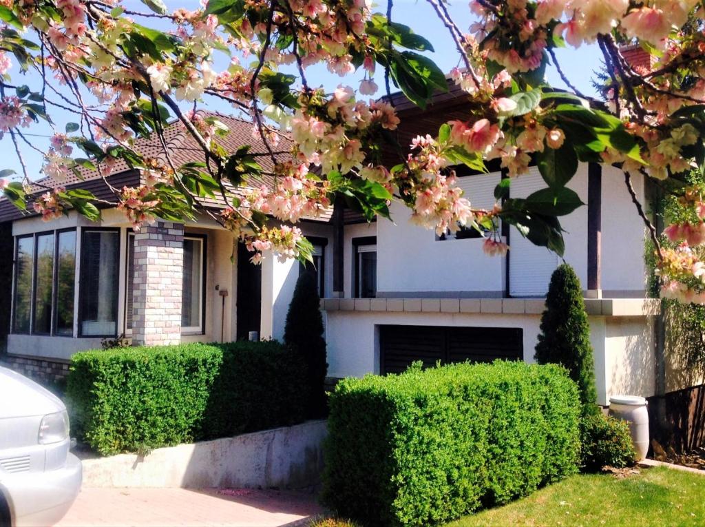 a white house with pink flowers in front of it at Júlia Vendégház in Nyíregyháza