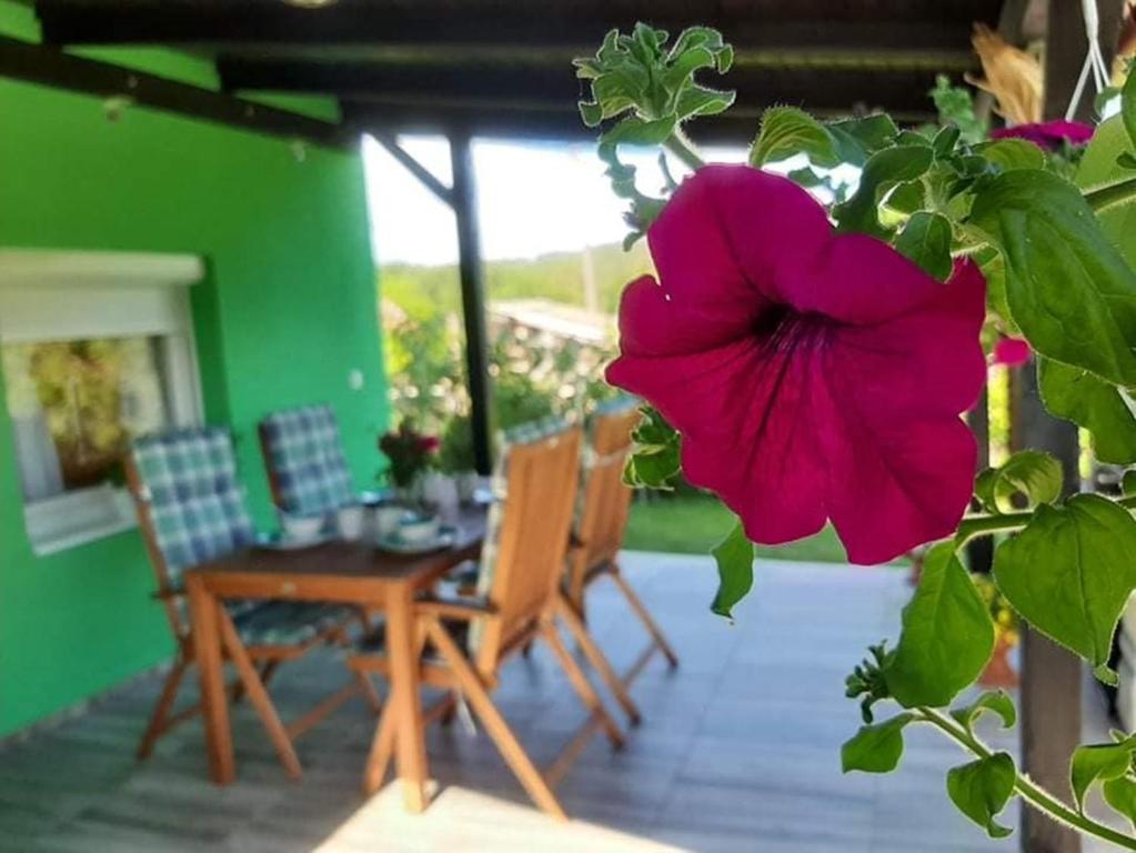 une grande fleur rose sur une table et des chaises dans l'établissement Ruralna kuća za odmor Viktorija, à Čaglin