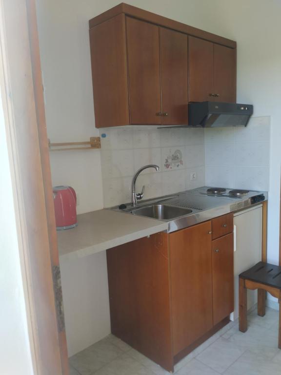 Kuchyň nebo kuchyňský kout v ubytování Nikolas House