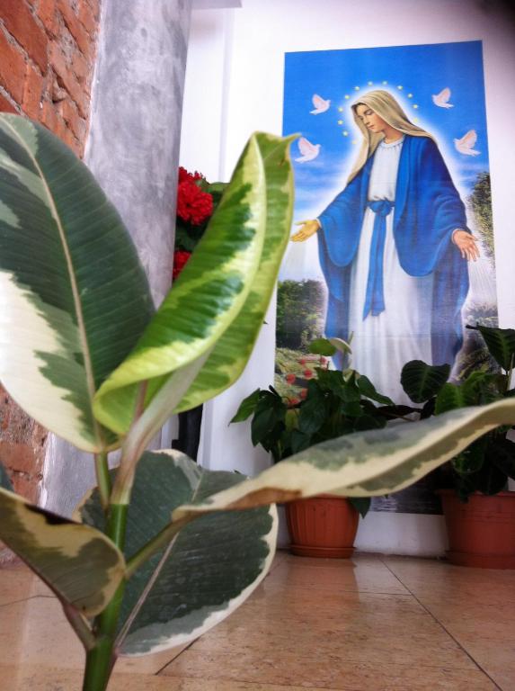 Fotografie z fotogalerie ubytování HOTEL Poma v Miláně