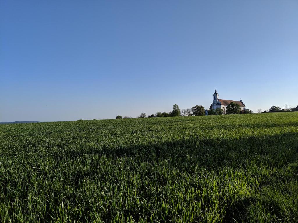 Příroda nedaleko apartmánu