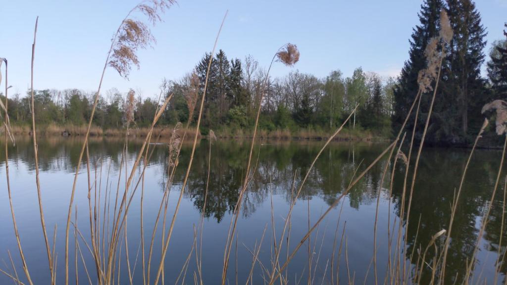 Příroda nedaleko apartmánu