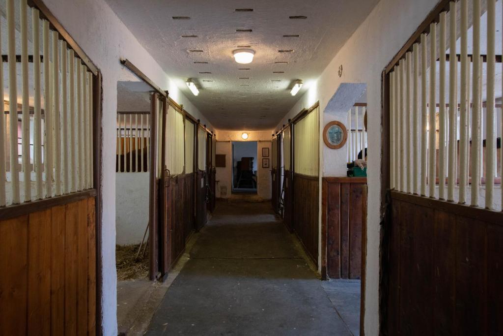 Fotografie z fotogalerie ubytování Penzion Štekrův Mlýn v destinaci Františkovy Lázně