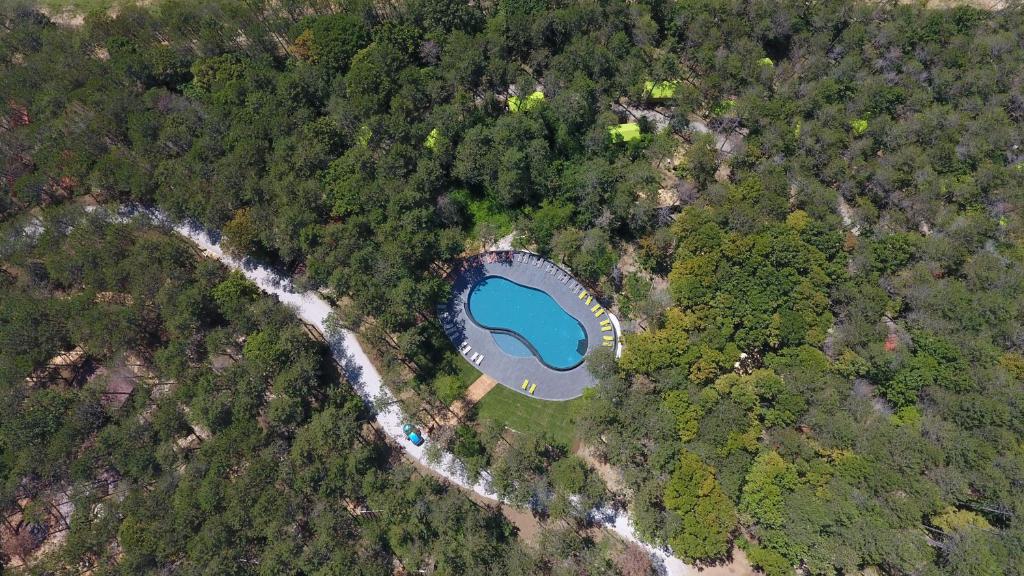 an aerial view of a lake in the middle of a forest at LONGOSPHERE GLAMPING in Kırklareli