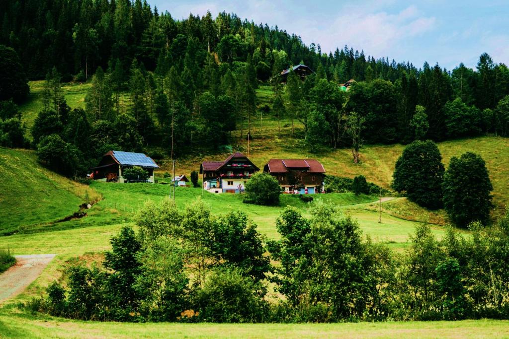Příroda nedaleko apartmánu