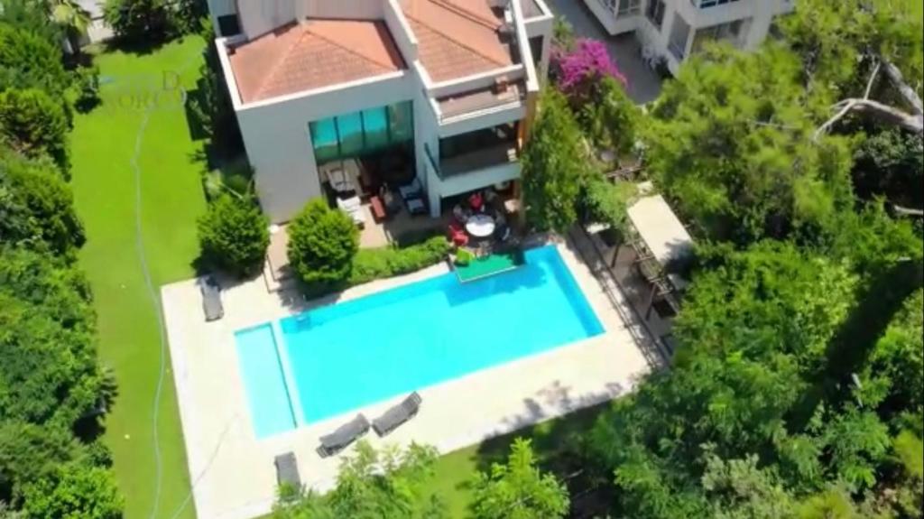 لابی و فضای عمومی Villa Diva - تصویر ۵
