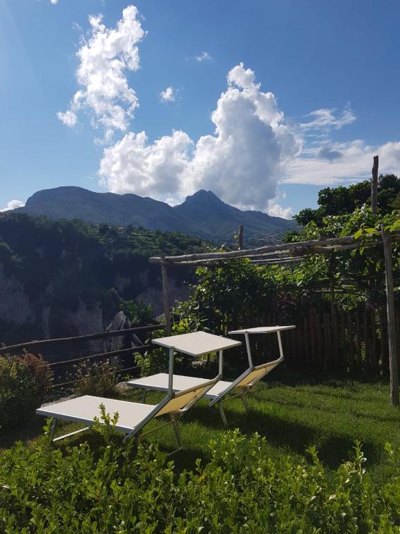 Agriturismo Orrido di Pino - 10