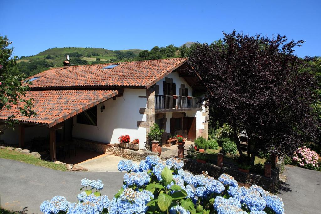 ein Haus mit blauen Blumen davor in der Unterkunft Casa Rural Malkornea in Maya del Baztán