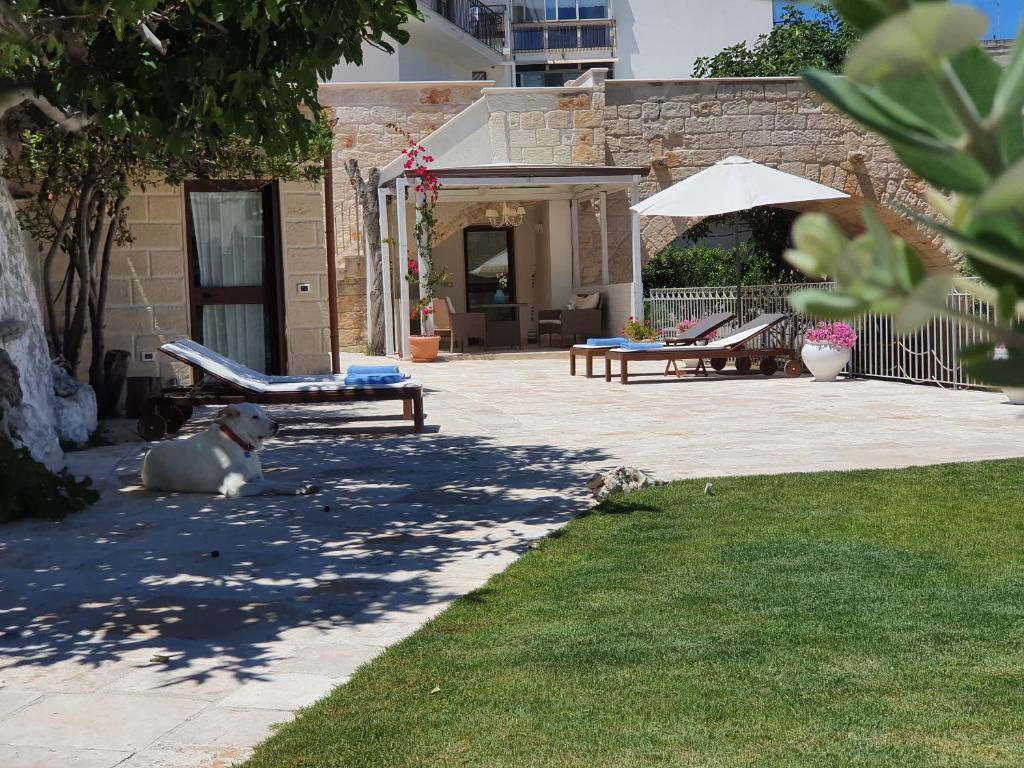 ein Hund auf dem Boden neben einer Terrasse in der Unterkunft Lamanna SUMMER HOUSE in Polignano a Mare