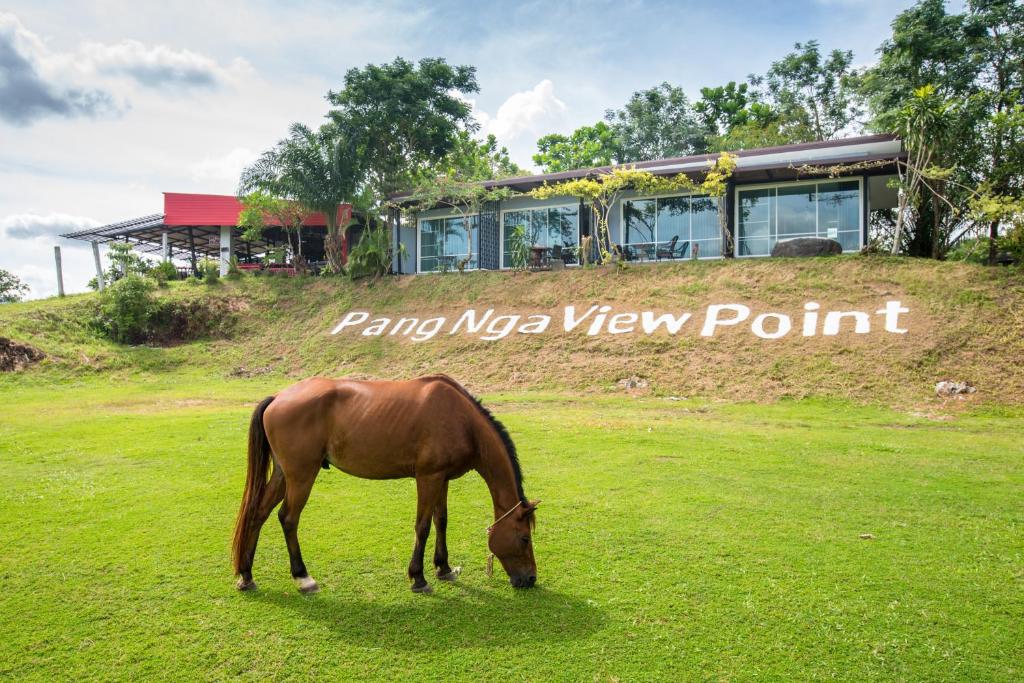 a horse grazing in a field in front of a house at Phang Nga Viewpoint in Phangnga