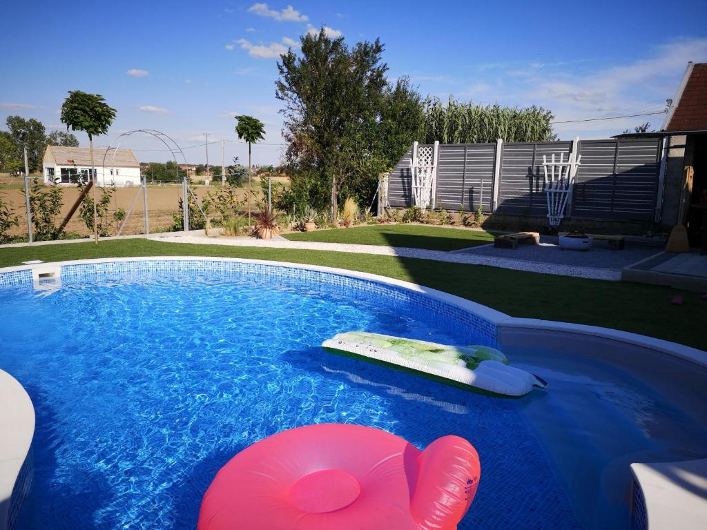 a swimming pool with a surfboard and a pink paddle at Villa Vita Hegykő in Hegykő