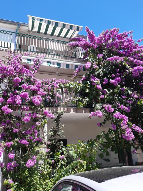 a building with purple flowers in front of a building at Mirjana apartman in Vodice