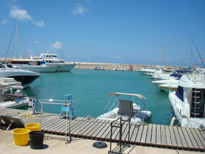 a group of boats docked in a harbor at El Sueno in Lachi