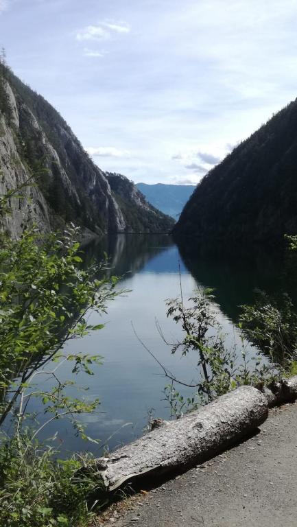 Príroda v okolí apartmánu