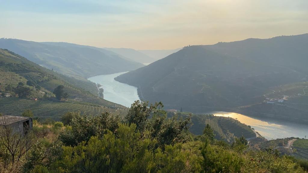 - une vue sur une rivière dans une vallée avec des arbres dans l'établissement Quinta da Casa Cimeira, Guest House, Wines & Food, à Valença do Douro
