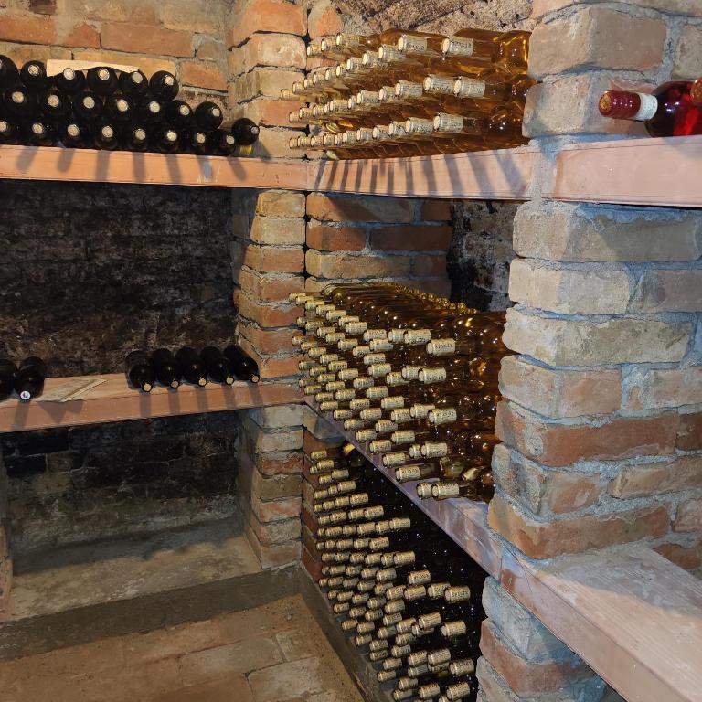 Zdjęcie z galerii obiektu APARTMÁN CABERNET w mieście Velké Pavlovice