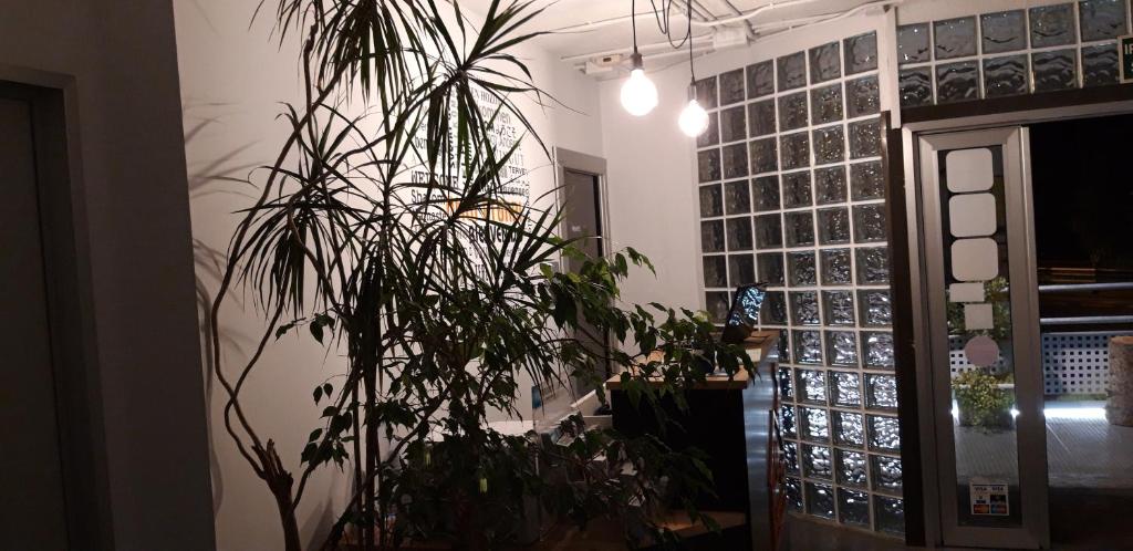Fotografie z fotogalerie ubytování All Iron Hostel v destinaci Bilbao
