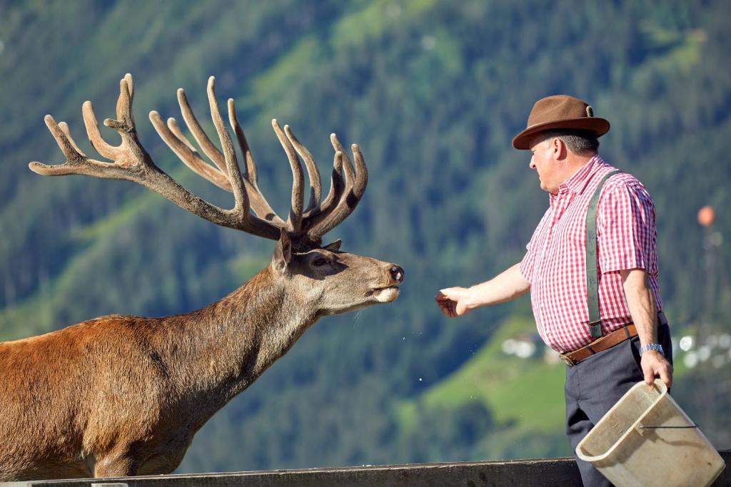Zvířata v hotelu nebo okolí