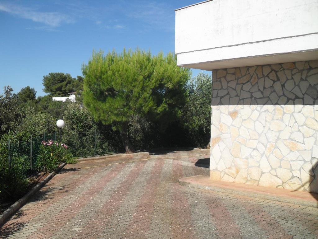 Zdjęcie z galerii obiektu LamAmare w mieście Polignano a Mare