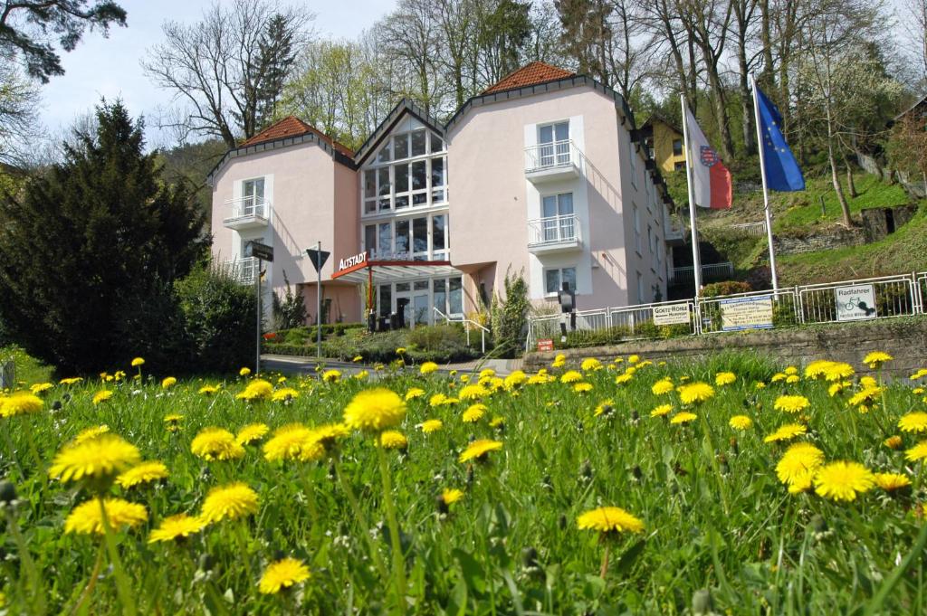 a field of yellow flowers in front of a house at AltstadtHotel an der Werra in Meiningen