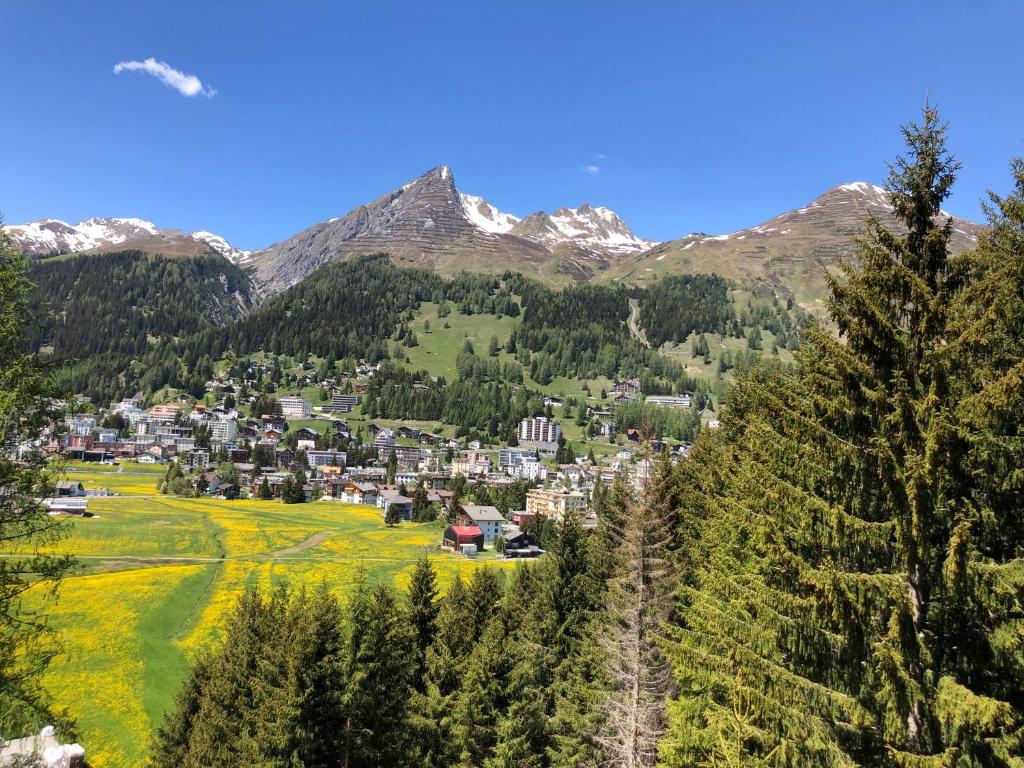 una ciudad en un valle con montañas en el fondo en Studio Mattawaldstrasse 17A en Davos