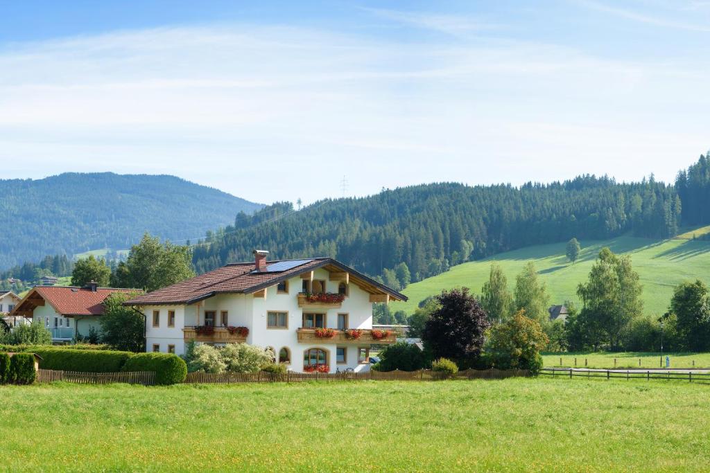 Příroda nedaleko apartmánu