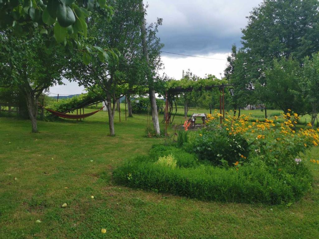 Apartments Laura - 3