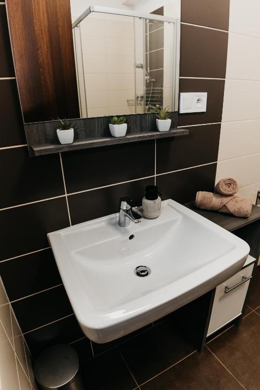 A bathroom at AH Radnica II Free Parking