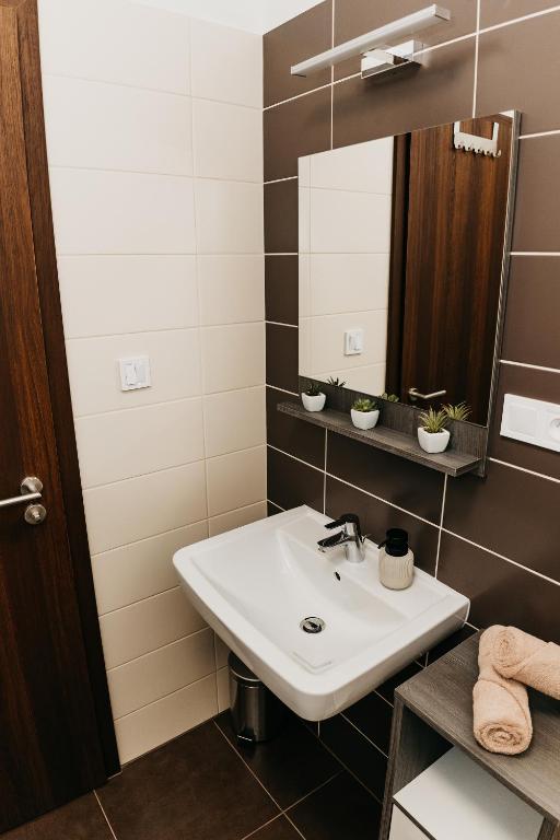 A bathroom at AH Radnica II Free Parking