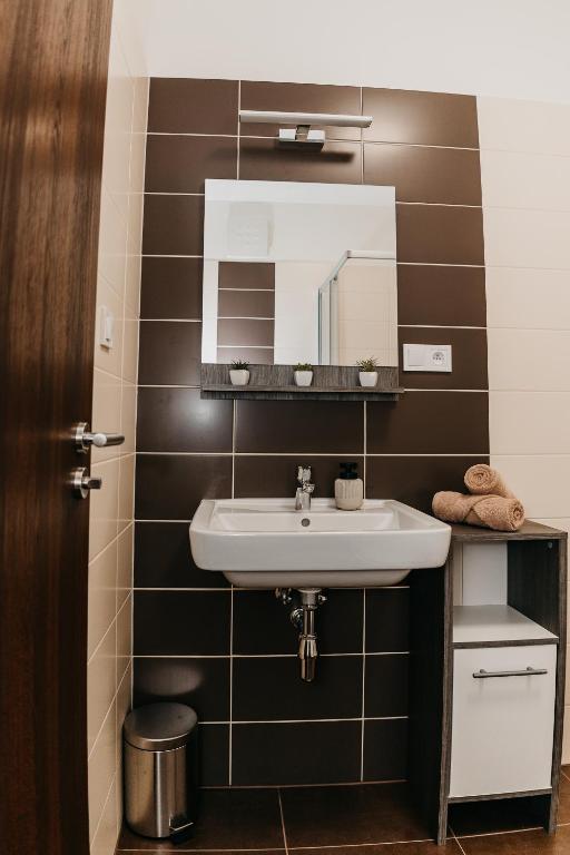 A bathroom at AH Radnica II Free Parking