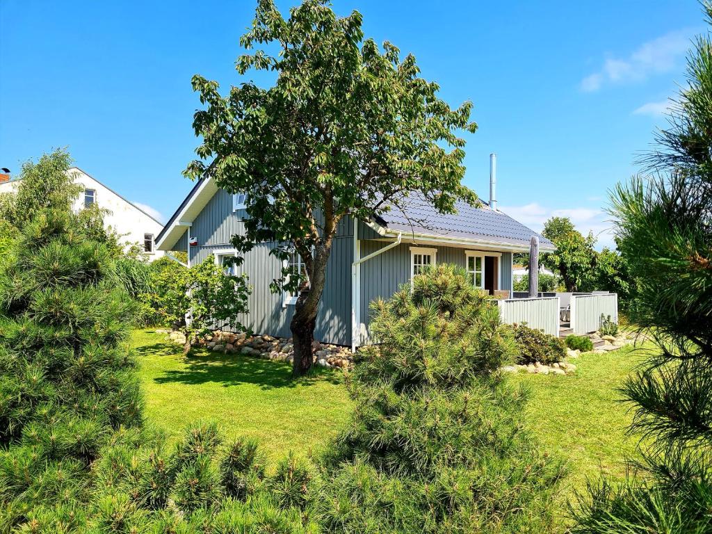 a house with a tree in the yard at Haffblick in Altwarp