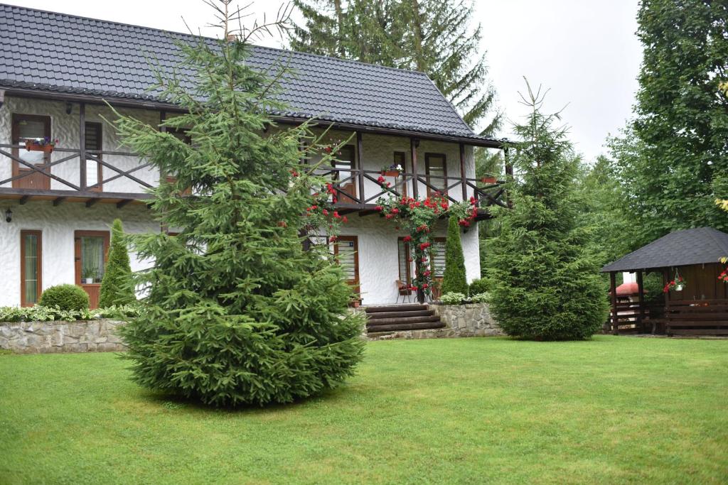 Zahrada ubytování Zorianyy Guest House