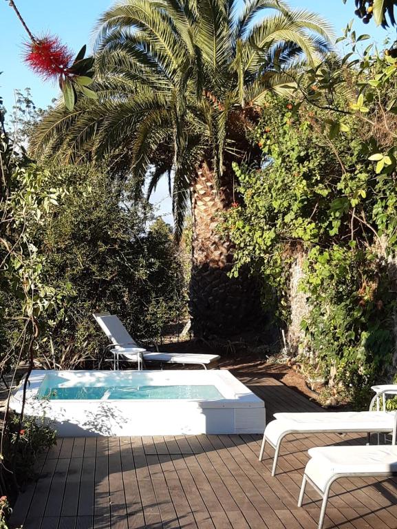 a swimming pool with two chairs and a palm tree at Vivelorural casa El Gargujo con piscina in Santa Brígida