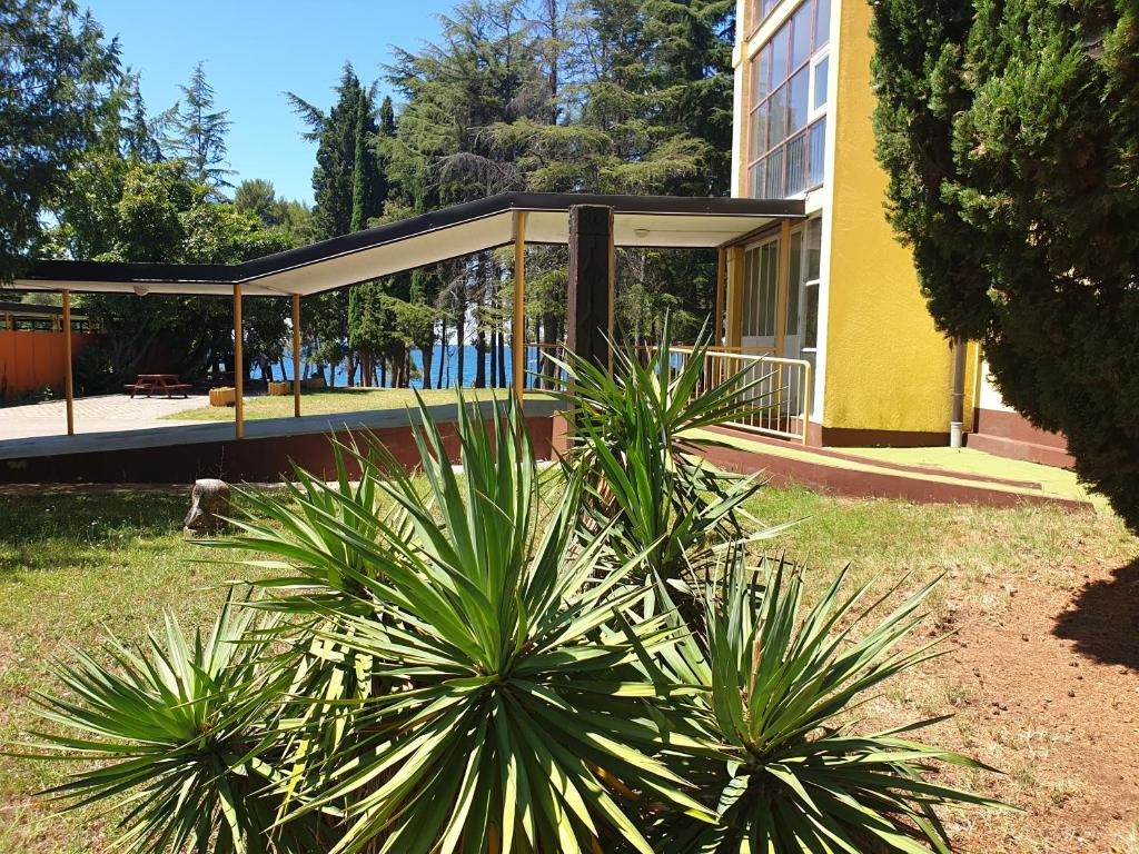 Kuvagallerian kuva majoituspaikasta Youth Hostel Pinesta, joka sijaitsee kohteessa Novigrad Istria