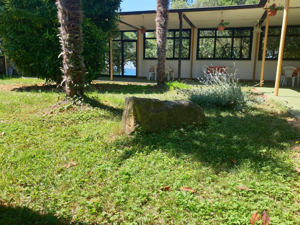 Zahrada ubytování Family Bungalow Pineta
