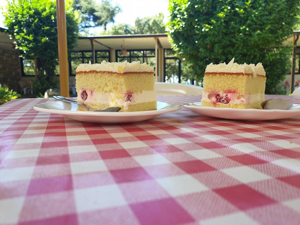 Foto dalla galleria di Family Bungalow Pineta a Novigrad Istria