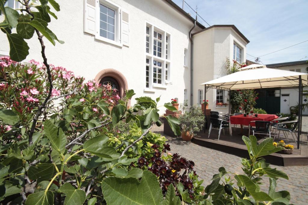 ein Haus mit einem Garten und einer Terrasse in der Unterkunft Bio-Weingut, Gästehaus und Kräuterhof in Flomborn